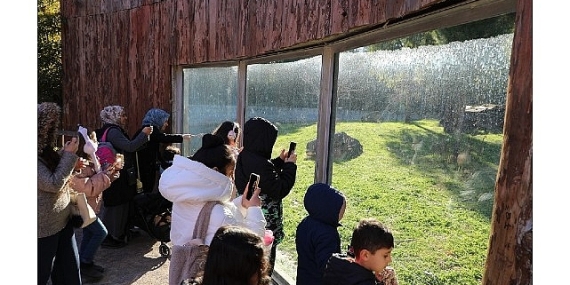 Sömestr Menderesli Çocuklara Güzel