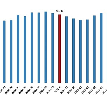 ucretli-calisan-istatistikleri-kasim-2025.jpg
