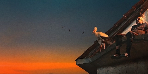 Yaralı Leylek Silyan’ın Hikayesini Anlatan ‘Silyan Efsanesi’,   11 Ocak Pazar 20.00’de   National Geographic Ekranlarında!
