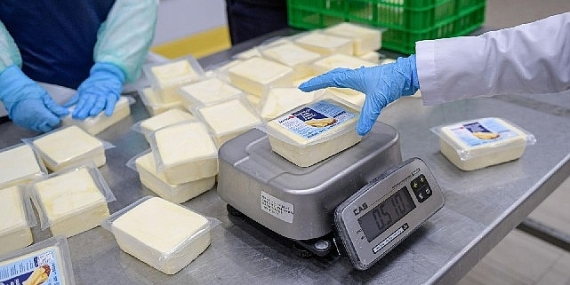 Büyükşehir’den peynir hamlesi