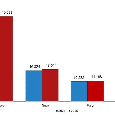 hayvansal-uretim-istatistikleri-2025.jpg