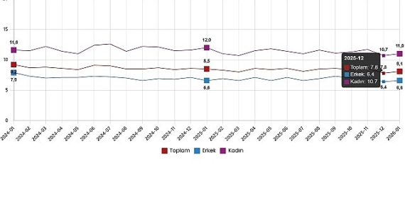 İşgücü İstatistikleri, Ocak 2026