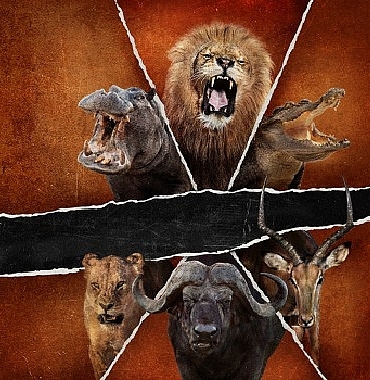 olumcul-safari-buyuk-kedilerin-savasi-15-subat-pazar-saat-20-00de-national-geographic-wild-ekranlarinda.jpg