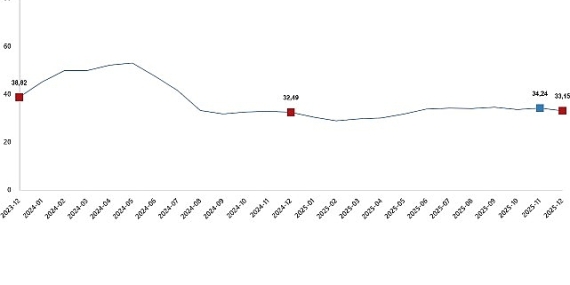 Tarımsal Girdi Fiyat Endeksi, Aralık 2025
