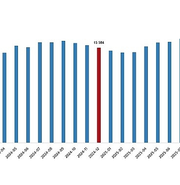 ucretli-calisan-istatistikleri-aralik-2025.jpg