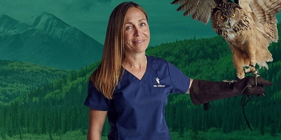 ‘Yukon Veterineri’ne Saygı Özel’,   25 Şubat Çarşamba Saat 20.00’de   National Geographic WILD Ekranlarında!