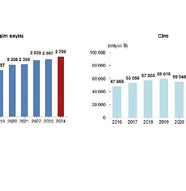 yurt-disinda-kontrol-edilen-girisim-istatistikleri-2024.jpg