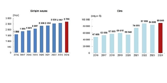 Yurt Dışında Kontrol Edilen Girişim İstatistikleri, 2024