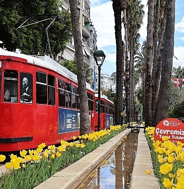 baharin-mujdecisi-laleler-antalya-sokaklarini-renklendirdi.jpg