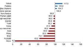 bitkisel-urun-denge-tablolari-2025.jpg