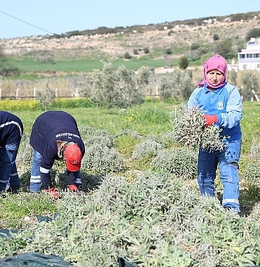 didim-belediyesinden-ureten-belediyecilik-uygulamasi.jpg