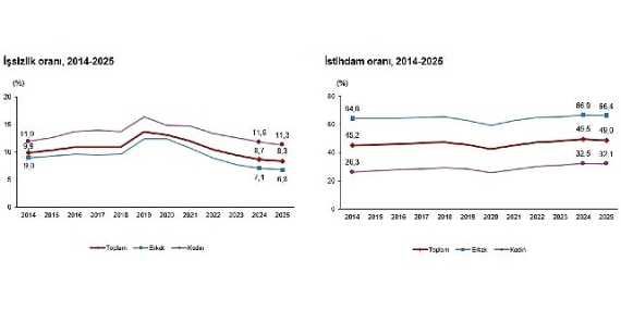 İşgücü İstatistikleri, 2025
