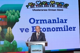 ormanlarin-ekonomik-gucune-dikkat-cekildi.jpg