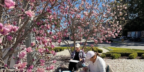 Turistler Kemer’de manolyaları resmediyor