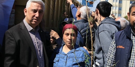 Bergama’dan Üretime Büyük Destek: Ahlat Ağaçları Aşılandı, Binlerce Fidan Dağıtıldı