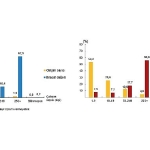 girisim-ozelliklerine-gore-uluslararasi-hizmet-ticareti-istatistikleri-2024.jpg