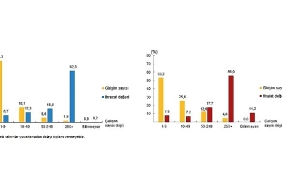 girisim-ozelliklerine-gore-uluslararasi-hizmet-ticareti-istatistikleri-2024.jpg