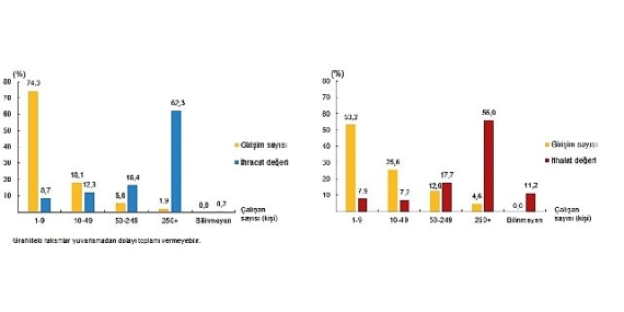 Girişim Özelliklerine Göre Uluslararası Hizmet Ticareti İstatistikleri, 2024