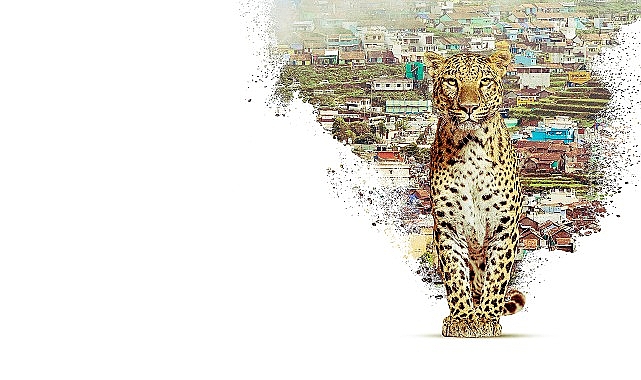 featured