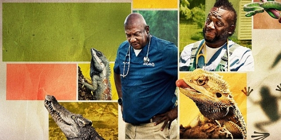 ‘Veteriner Dostlar Özel’,   25 Nisan Cumartesi 20.00 ve 21.00’de İki Bölüm Art Arda   National Geographic WILD Ekranlarında İzleyicilerle Buluşuyor!