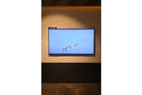 Samsung, Artweeks Istanbul’da  sanatı ekran teknolojileriyle buluşturuyor